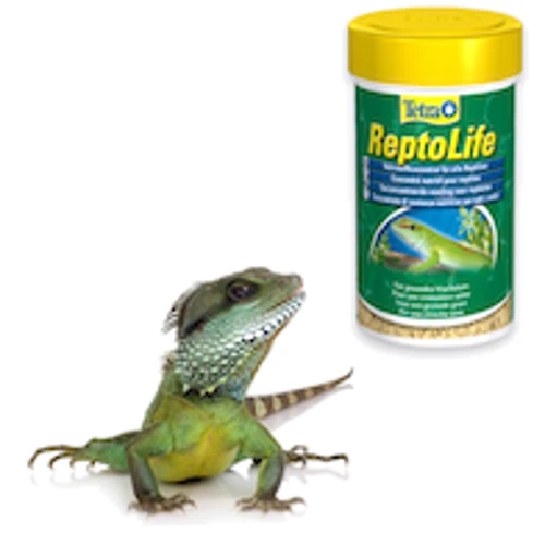 Товары для рептилий