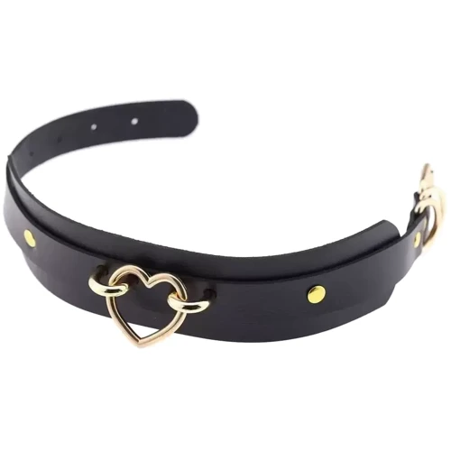 Чокер-ошейник SKN-AS20 PINK Gold