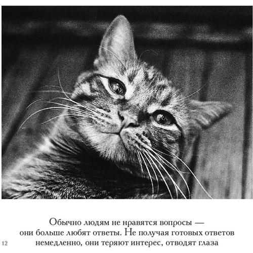 Бредлі Тревор Грив: Сенс життя: Автор Бредли Тревор Грив