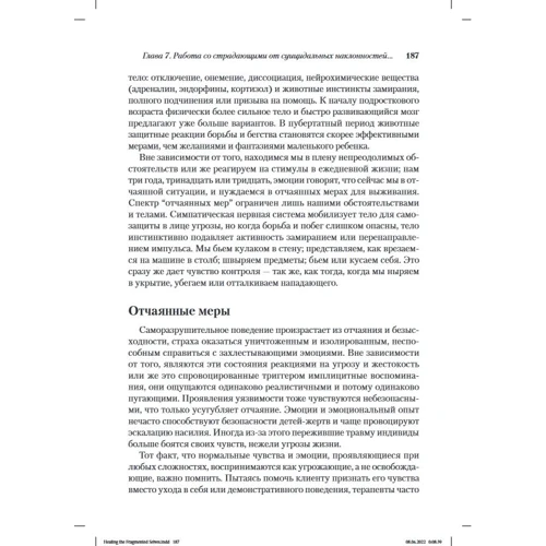 Яніна Фішер: Зцілення фрагментованих осіб, які пережили травму. Подолання внутрішнього самовідчуження: Обкладинка Мягкая