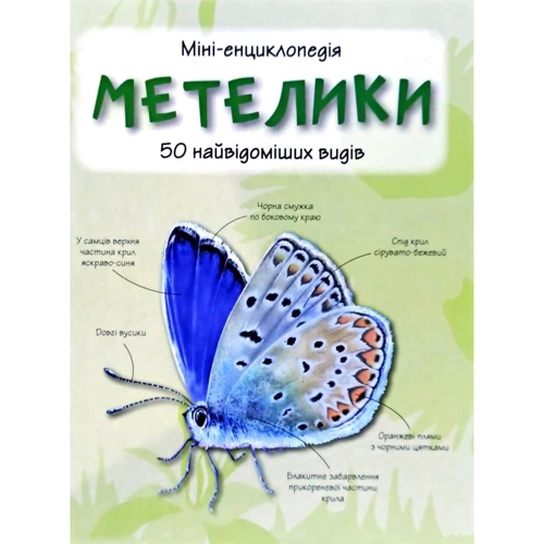Бабочки. Міні-енциклопедія