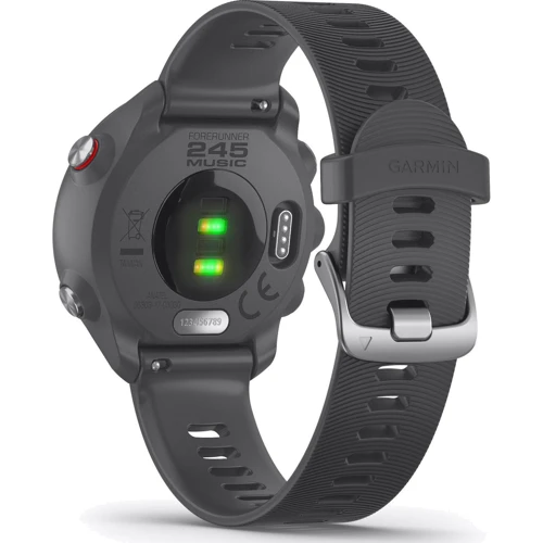 Смарт-часы Garmin Forerunner 245 Slate Gray (010-02120-00): Интерфейсы подключения Bluetooth, Wi-Fi