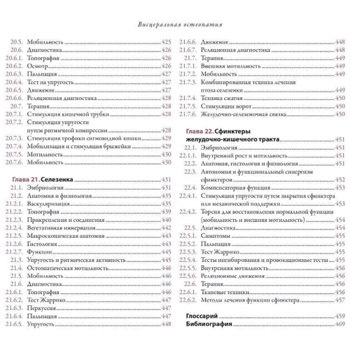 Левин, Хельсмуртель, Хирт: Висцеральная остеопатия. Органы брюшной полости: Количество страниц 488