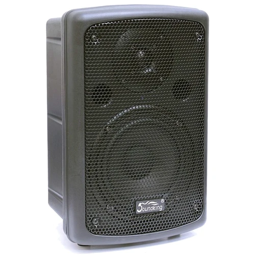 Акустическая система SOUNDKING FP208A