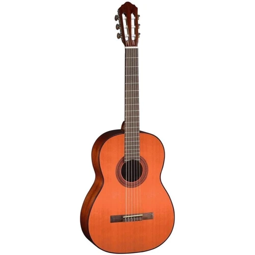 Класична гітара CORT AC100DX YT w / bag