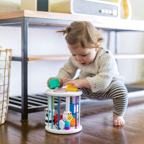 Игрушка-сортер Baby Einstein Zen & Cal’s Playground (12493)