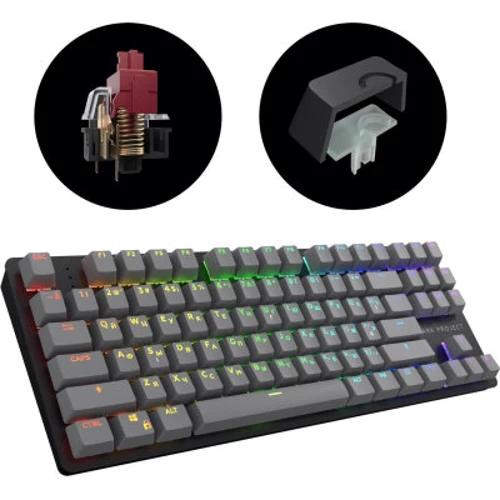 Клавиатура Dark Project One KD87A ABS Gateron Mechanical Red (DPO-KD-87A-000300-GRD): Тип клавиш механический