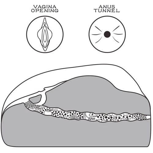 Мастурбатор вагіна та анус LoveToy Streetgirl's #1 Black