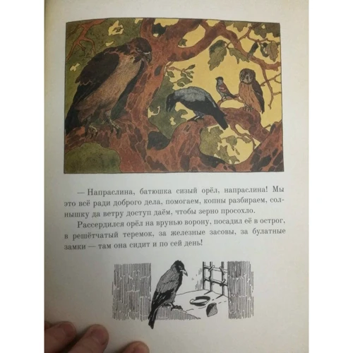 Сказки старухи-говорухи: Количество страниц 48
