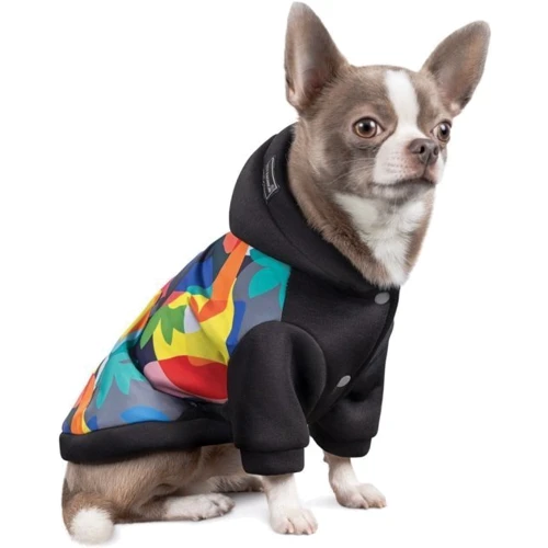 Толстовка Pet Fashion The Coolest M (4823082420353): Размер животного Средние