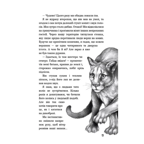 Катя Брандіс: Діти лісу. Книга 4. Незвіданий край: Обкладинка Твердая
