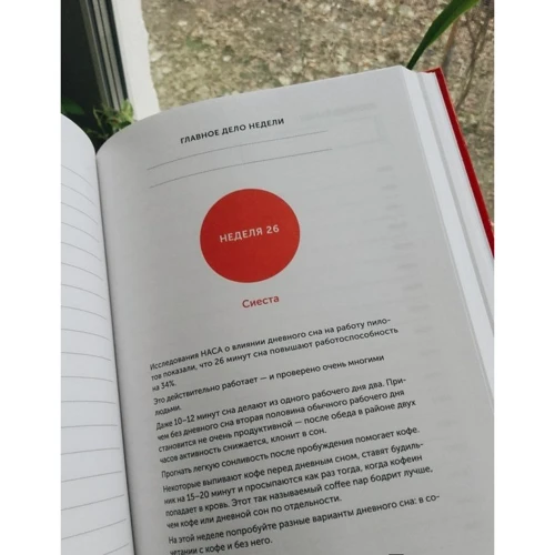Максимально полезный ежедневник. Экономьте время, деньги и силы: Автор Ренат Шагабутдинов, Игорь Манн