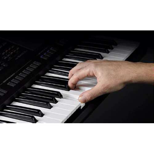 Синтезатор YAMAHA PSR-SX700 (+ блок живлення): Тип Аранжувальної