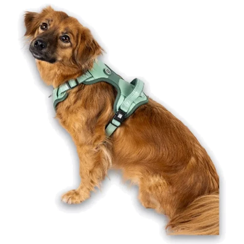 Шлея Max & Molly Smart ID Sport Harness Matrix 2.0 Jade M 48-65 см нефритовая (4255636810615) фото 6