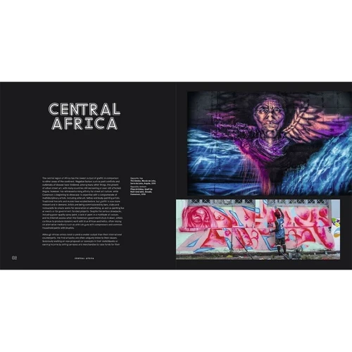 Cale Waddacor: Street Art Africa: Обложка Твердая