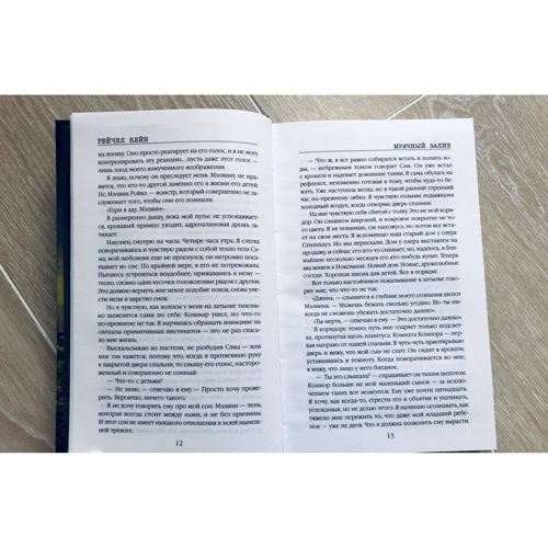 Рейчел Кейн: Мрачный залив: Количество страниц 416