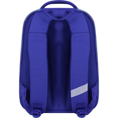 Рюкзак Bagland Turtle 534 электрик (0013466): Тип Для средней школы