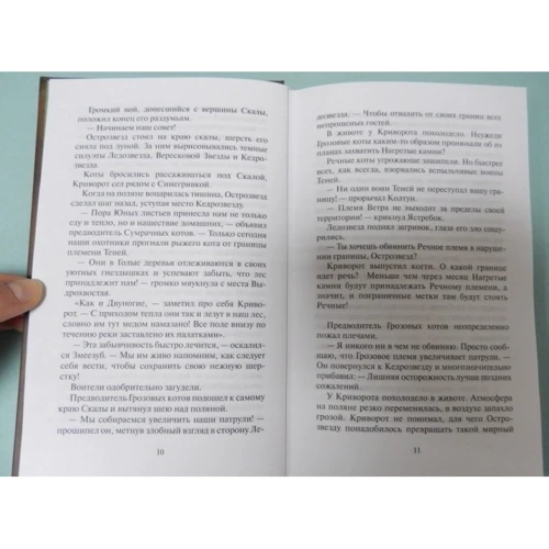 Эрин Хантер: Коты-воители. Обещание Метеора. Книга 2. Прозрение: Жанр Детская фантастика и фэнтези