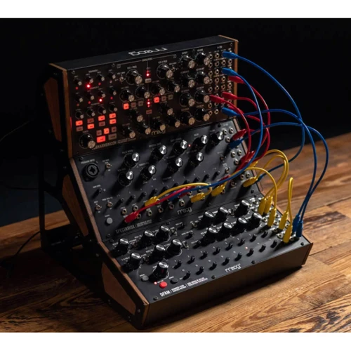 Синтезатор аналогового моделирования MOOG SPECTRAVOX: Тип Профессиональные