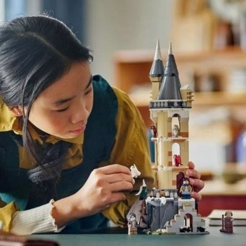 Конструктор LEGO Harry Potter Замок Хогвартс. Башня для сов 364 детали (76430) фото 7