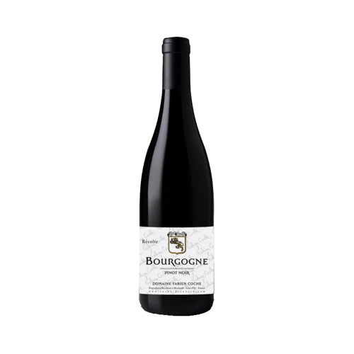 Вино Domaine Fabien Coche Bourgogne Pinot Noir (0,75 л) (BW42477)