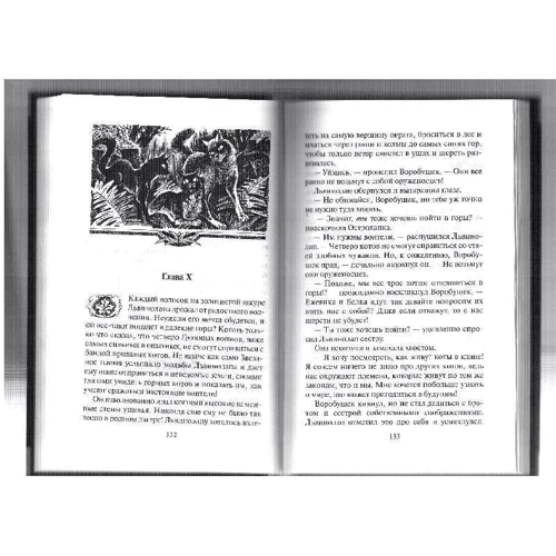 Эрин Хантер: Коты - воители. Отверженные: Производитель Абрис Олма