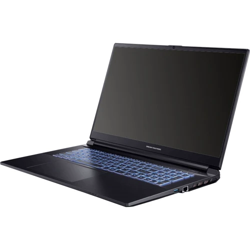 Ноутбук Dream Machines G1650-17 (G1650-17UA96) UA: Тип экрана матовый