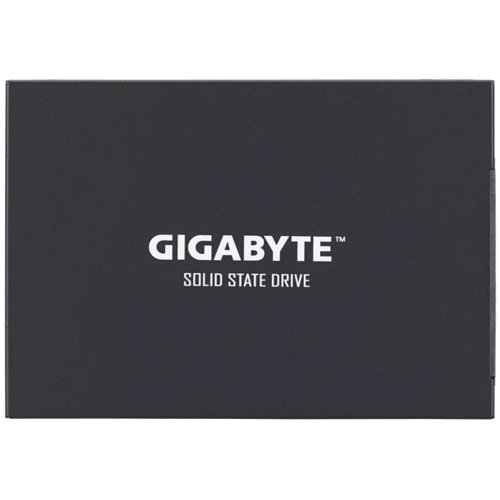 GIGABYTE UD PRO 256GB (GP-GSTFS30256GTTD)