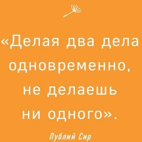 Радость малого. Дневник минималиста: Обложка Твердая