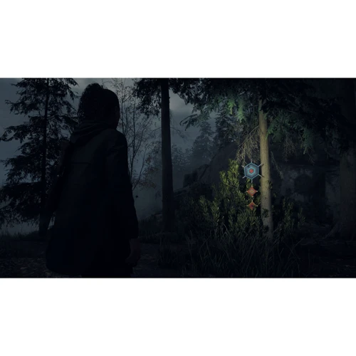 Alan Wake 2 Deluxe Edition (PS5) фото 5