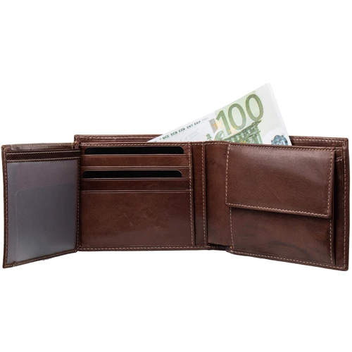 Мужское портмоне Redbrick коричневое (FULRBW0020-BRN): Формат кошелька Вертикальный