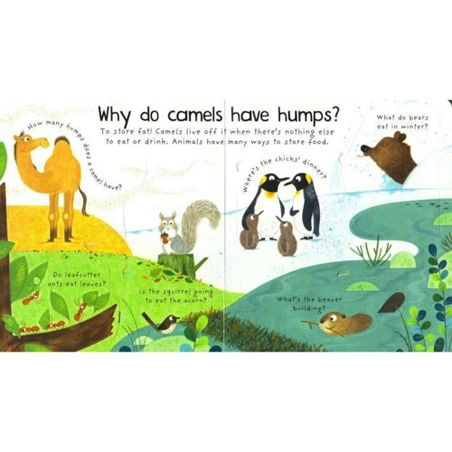Lift-the-Flap First Questions and Answers Why Do Tigers Have Stripes? / Чому у тигрів є смуги?: Обложка Твердая