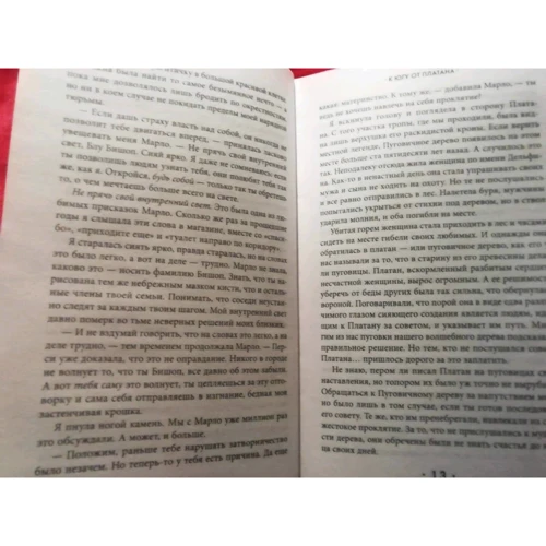 Хэзер Уэббер: К югу от платана: Производитель Эксмо