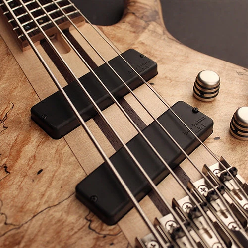 Бас-гитара CORT A5 Plus SCMS (Open Pore Natural) w/case