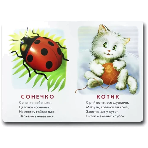 Марія Морозенко: Хто це? (котик): Производитель Книжкова Хата