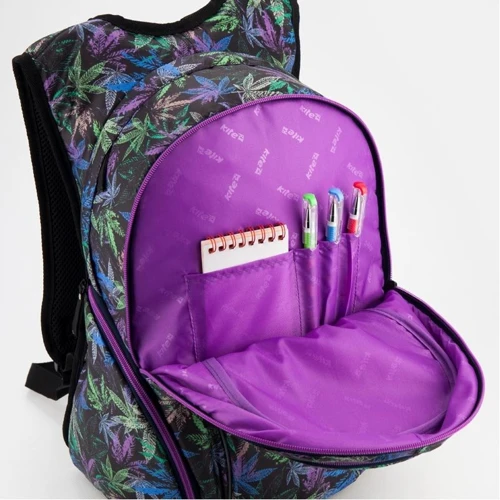 Рюкзак Kite Beauty K18-953L: Корпус рюкзака м'який