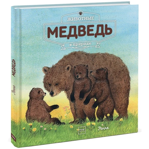 Животные в природе. Медведь