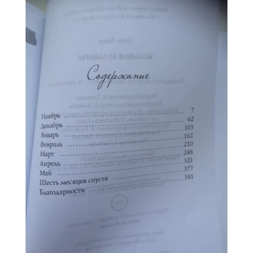Тоні Беар: Великі бульвари: Кількість сторінок 384