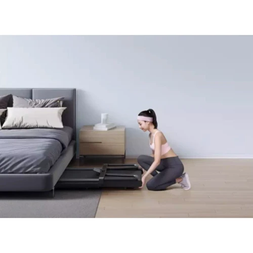 Беговая дорожка KingSmith Walkingpad TR50 (TRM1FUD): Мощность двигателя, лс 1.5