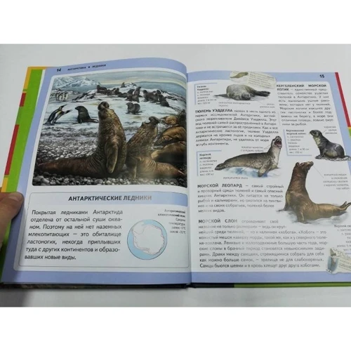 Юлия Школьник: Животные. Панорама нужных знаний: Автор Юлия Школьник