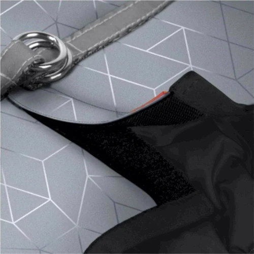 Шлея Waudog Clothes c QR паспортом для собак мягкая светоотражающая ХS3 B 32-35 см C 22-24 cм (2928): Производитель WAUDOG