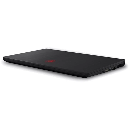 Ноутбук MSI GF75 Thin 10SC (GF7510SC-006FR) RB: Тип экрана матовый