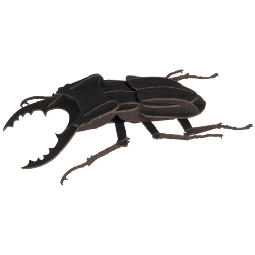 Жук Beetle Fridolin 3D модель
