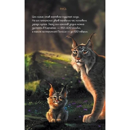 Щоденник Мавки. Осінь: ISBN 9789667510817