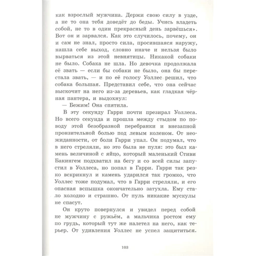 Айвен Саутолл: Дорогой огня: ISBN 978-5-00041-446-0