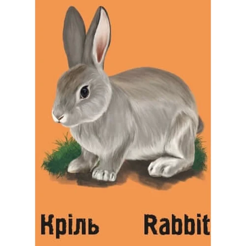Ірина Ткачук: Слідами тварин. На фермі: Производитель Читаріум