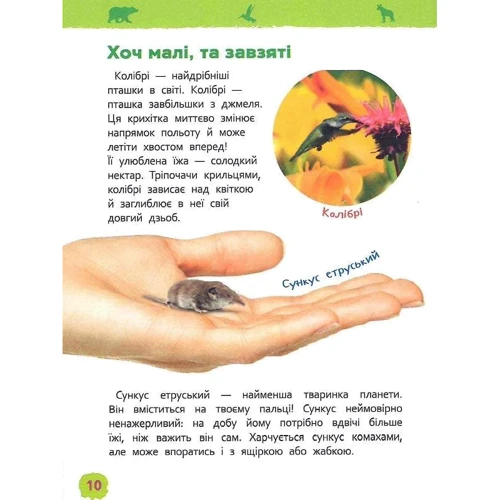 Моя перша енциклопедія. Дивовижні тварини фото 7