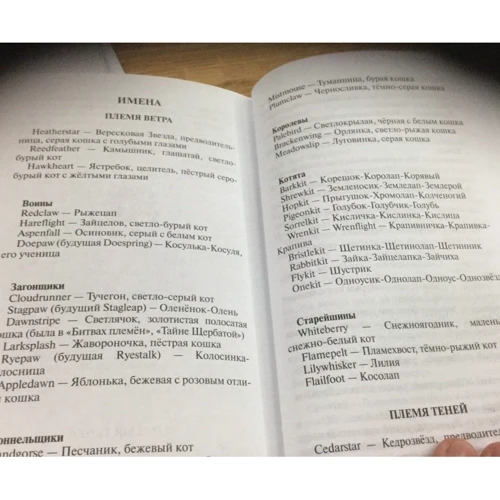 Эрин Хантер: Коты-воители. Месть Звездного Луча. Книга 2. Воссоединение: Количество страниц 352