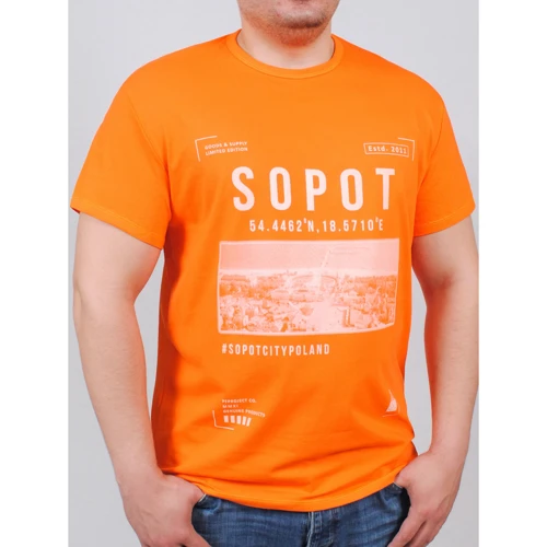 Футболка PFProject BIG SOPOT XXL помаранчева з принтом: Вид футболки
