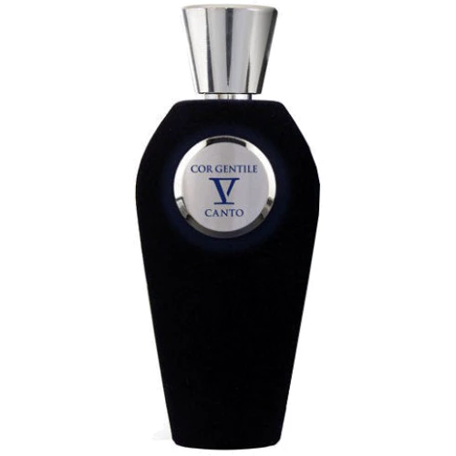 Парфуми V Canto Cor Gentile 100 ml Тестер